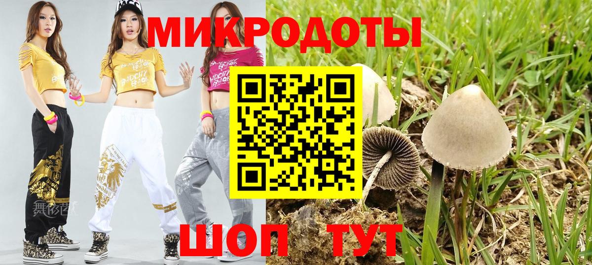 Псилоцибиновые грибы Psilocybine cubensis  Вход с VPN  Воркута 